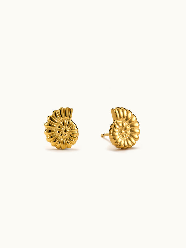 Spiral Shell Stud Ohrringe