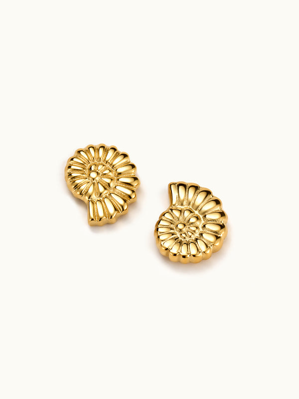 Spiral Shell Stud Earrings